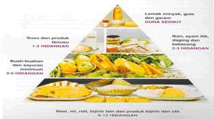 contoh karangan ulasan piramid makanan